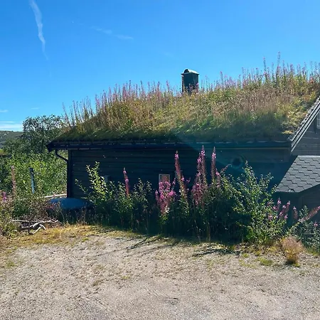 Feriehus 3 Bedroom Lovely In Aseral